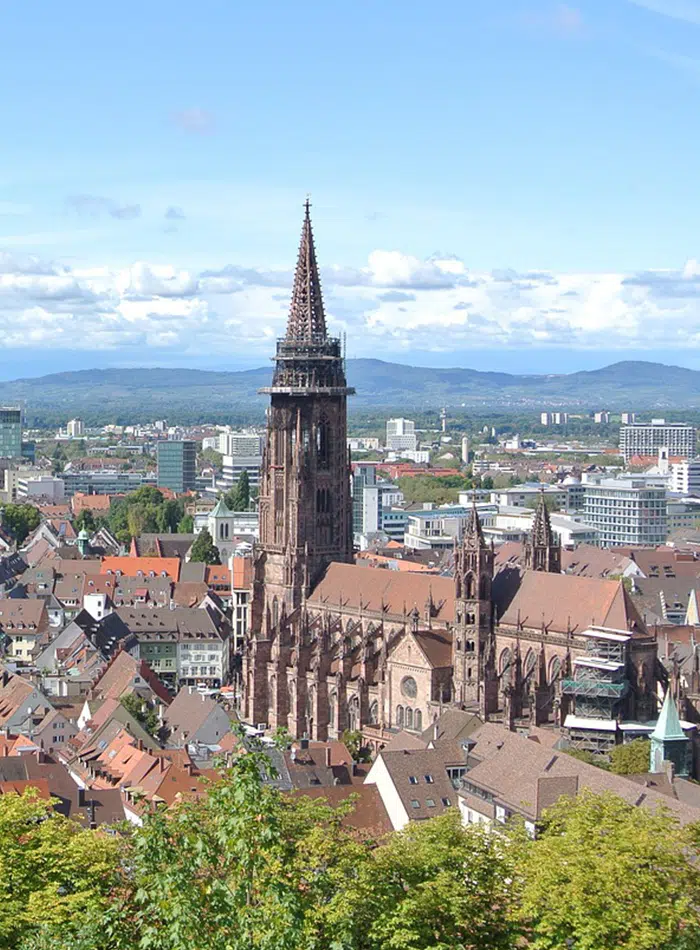 Blick auf das Freiburger Münster